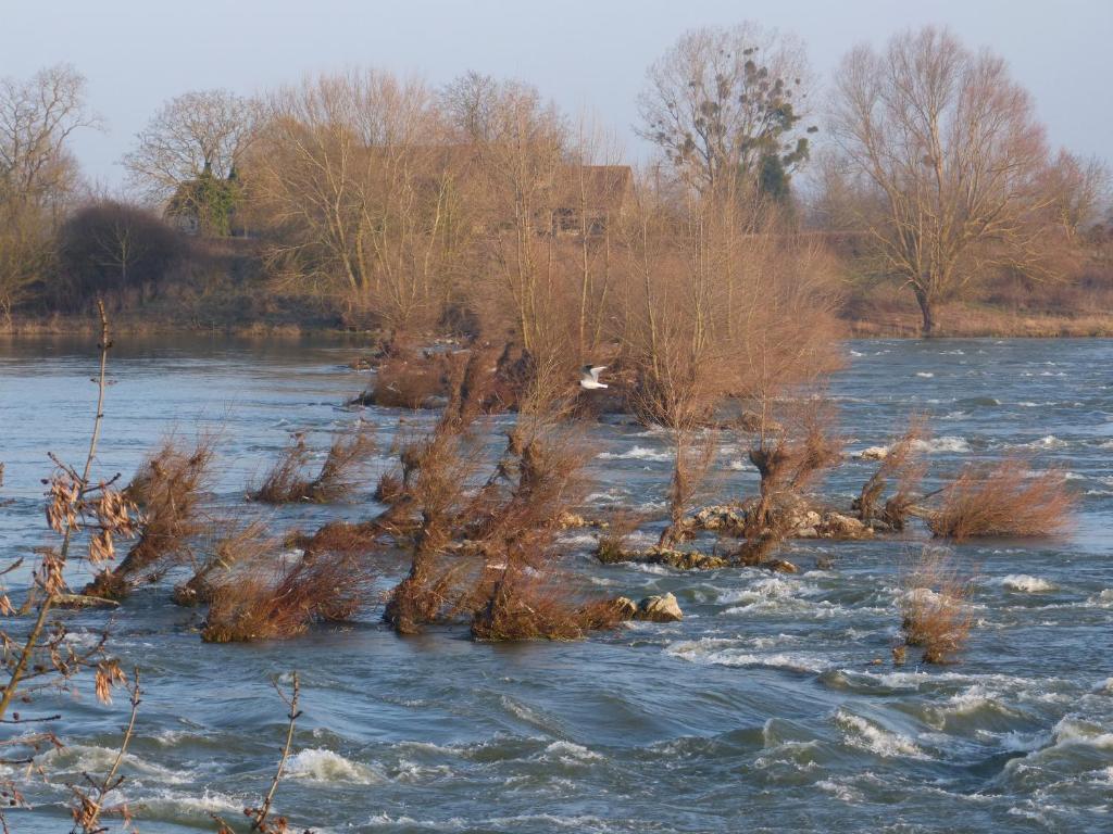 Logis Hotel Le Relais Louis XI Meung-sur-Loire Dış mekan fotoğraf