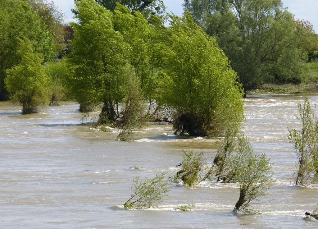 Logis Hotel Le Relais Louis XI Meung-sur-Loire Dış mekan fotoğraf