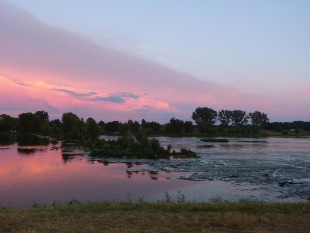 Logis Hotel Le Relais Louis XI Meung-sur-Loire Dış mekan fotoğraf